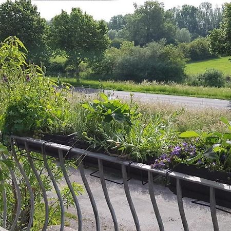 Ferienwohnung Niederrhein ヴェーゼル エクステリア 写真